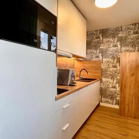 Izerskie Górska 8 - Blisko Park I Dom Zdrojowy Oraz Wyjście Na Sky Walk Apartamento