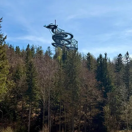 Izerskie Górska 8 - Blisko Park I Dom Zdrojowy Oraz Wyjście Na Sky Walk Apartamento